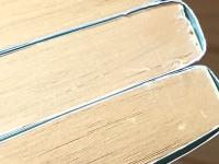 異国館ダンディ 全8巻揃