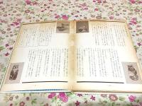 図画工作図鑑 デザイン 全5冊セット 