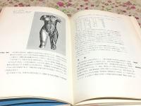 被服のためのキネジオロジイ
