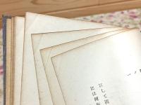 ヂンク応用写真平版術