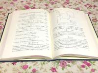 ハイブリッド計算システムとその応用