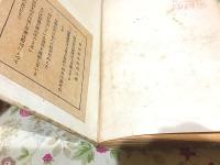 恐龍とその仲間 化石と現棲の爬虫類 学習全書