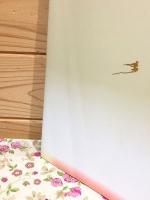 図録 草原の王朝 契丹 美しき3人のプリンセス