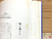 世界の民芸