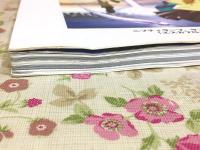 天空のエスカフローネ ファンブック ケイブンシャの大百科別冊