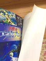 天空のエスカフローネ ファンブック ケイブンシャの大百科別冊