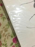 山の意匠 : 田淵行男写真集
