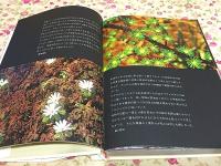 山の意匠 : 田淵行男写真集