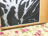山の紋章・雪形