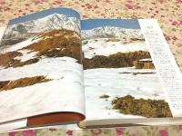 山の紋章・雪形
