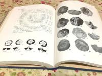 山口県の古生物 : 古生代