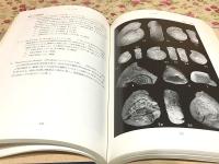 山口県の古生物 : 古生代