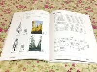 街路樹