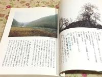 ふるさとの樹