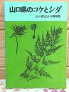 山口県のコケとシダ