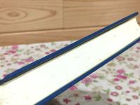 融和運動の史的分析 : 山口県融和運動の歴史