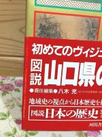 図説 山口県の歴史 (図説日本の歴史35)