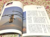 鳥人間の本