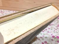 フランソワ・ラブレ-の作品と中世・ルネッサンスの民衆文化