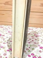 フランソワ・ラブレ-の作品と中世・ルネッサンスの民衆文化