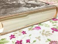 フランソワ・ラブレ-の作品と中世・ルネッサンスの民衆文化