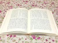 フランソワ・ラブレ-の作品と中世・ルネッサンスの民衆文化