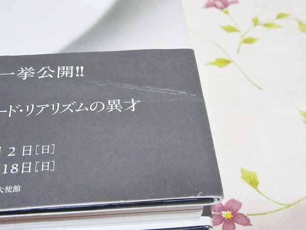 増補 磯江毅 写実考 Gustavo Isoe's works 1974-2007(磯江毅 画