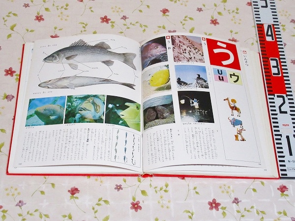 こどもカラー百科 全8巻＋総索引 9冊揃 / 古本、中古本、古書籍の通販