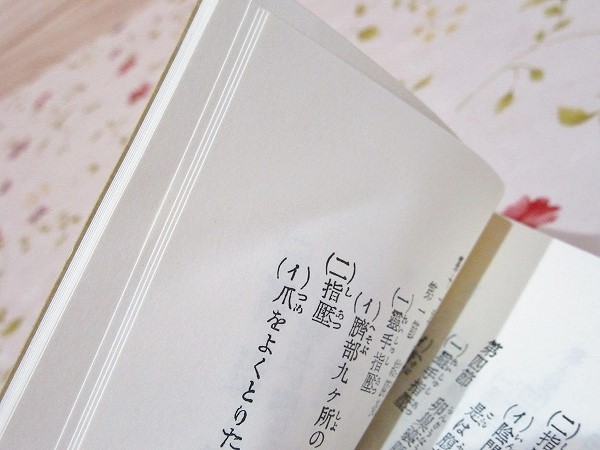 指圧法 付録・指圧療法治病秘鍵 | 玉井天碧 著 | 八幡書店 | ¥3,800