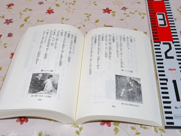 指圧法 付録・指圧療法治病秘鍵 | 玉井天碧 著 | 八幡書店 | ¥3,800