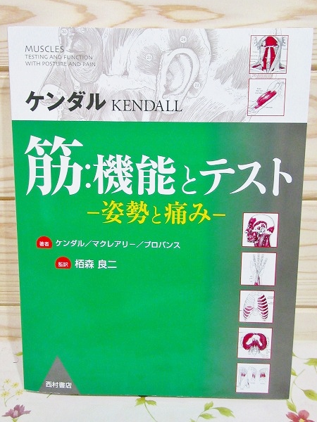 筋:機能とテスト : 姿勢と痛み(ケンダル, マクレアリー, プロバンス 著 
