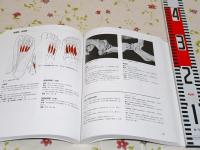 裁断済み:筋：機能とテスト 姿勢と痛み
