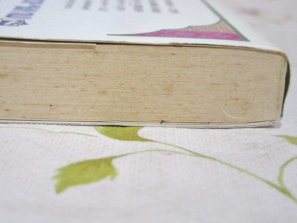 驚異の超人気功法 : 鉄の肉体を創り超パワーを発する