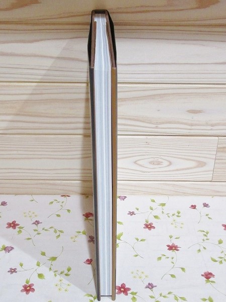 洋書 MADELEINE VIONNET マドレーヌヴィオネ作品集(Betty Kirke