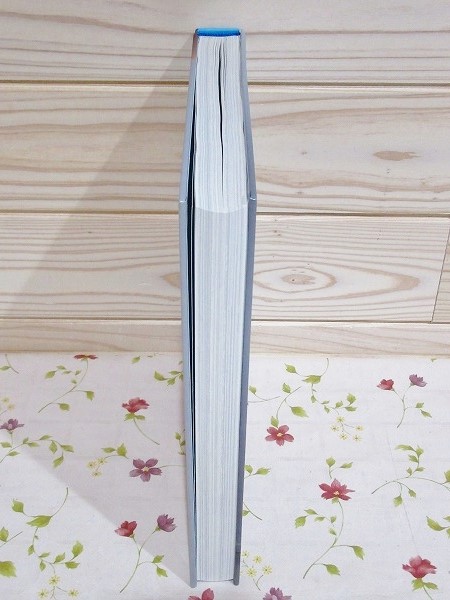 写真集 posturing 洋書