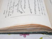 学校園の内容 : 全