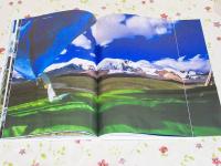 洋書 写真集 Sacred Mountains Ryan Pyle