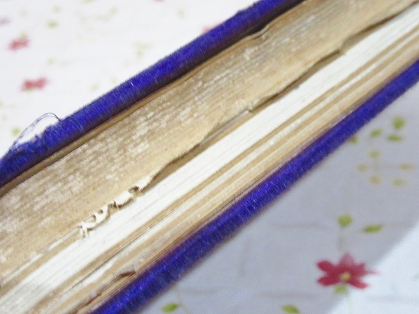 皇室皇族聖鑑 明治篇 裸本(神田豊穂) / 古本、中古本、古書籍の通販は