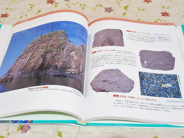 山口県の岩石図鑑(山口地学会 編 西村祐二郎 松里英男) / 古本、中古本、古書籍の通販は「日本の古本屋」 / 日本の古本屋
