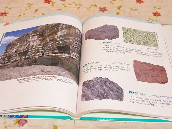 山口県の岩石図鑑(山口地学会 編 西村祐二郎 松里英男) / 古本、中古本、古書籍の通販は「日本の古本屋」 / 日本の古本屋
