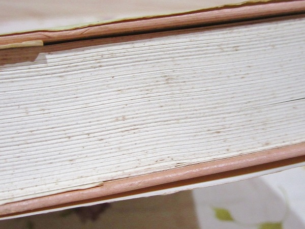 カラー版 研究 世界史(吉岡力) / 古本、中古本、古書籍の通販は
