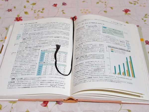 カラー版　研究　世界史 カラー版 研究 世界史(吉岡力) / 古本、中古本、古書籍の通販は