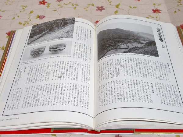 図説 山口県の歴史(色川大吉 ほか監修) / 古本、中古本、古書籍の通販