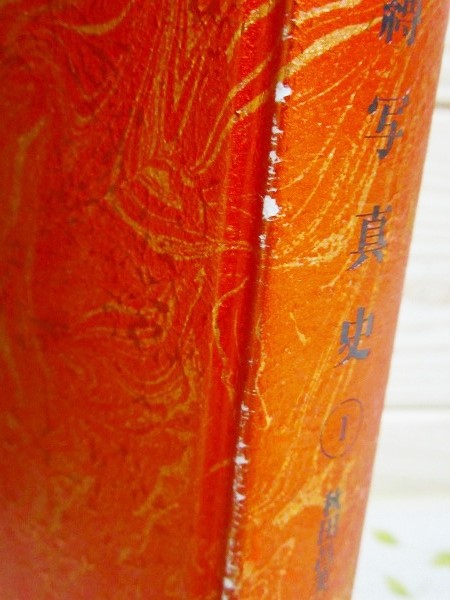 難有 日本緊縛写真史(秋田昌美 著) / 古本、中古本、古書籍の通販は