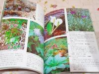 ビーナスライン　野草の花 写真集