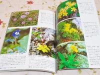ビーナスライン　野草の花 写真集