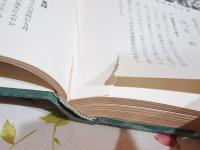 市制記念 美禰市誌