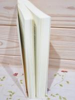 A Guide to Diplomatic Practice: Volume 1
