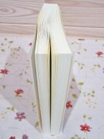 A Guide to Diplomatic Practice: Volume 1