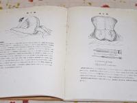 睾丸摘出術